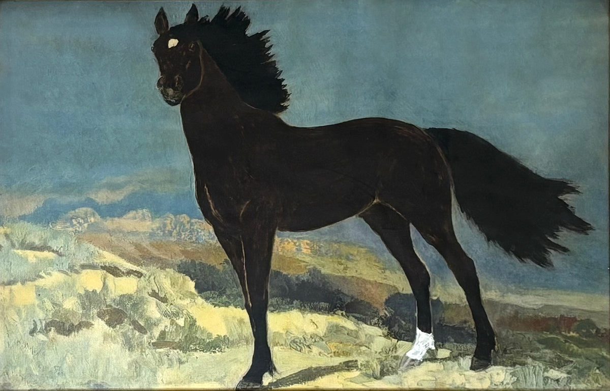 Painting of a black horse, which is the inspiration for the Jody icon.